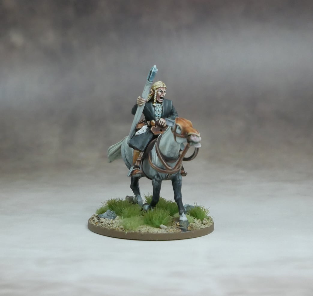 Elf High Mage riding a horse, holding a staff, surrounded by grass and earthy terrain.