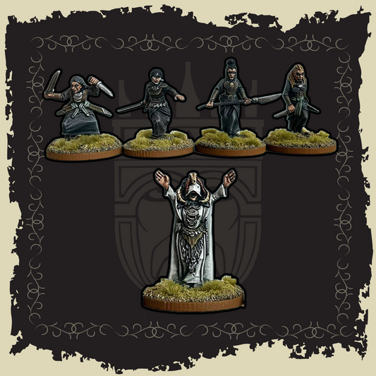 White Seer & Widow Blade miniatures collection showcasing intricate designs and elven details.